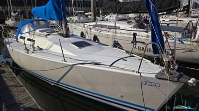 FF 1100 2