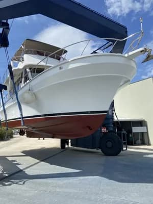 HI-Star 42 Europa Sport 5