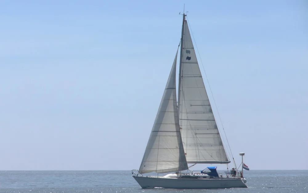 1995 Winner 11.20