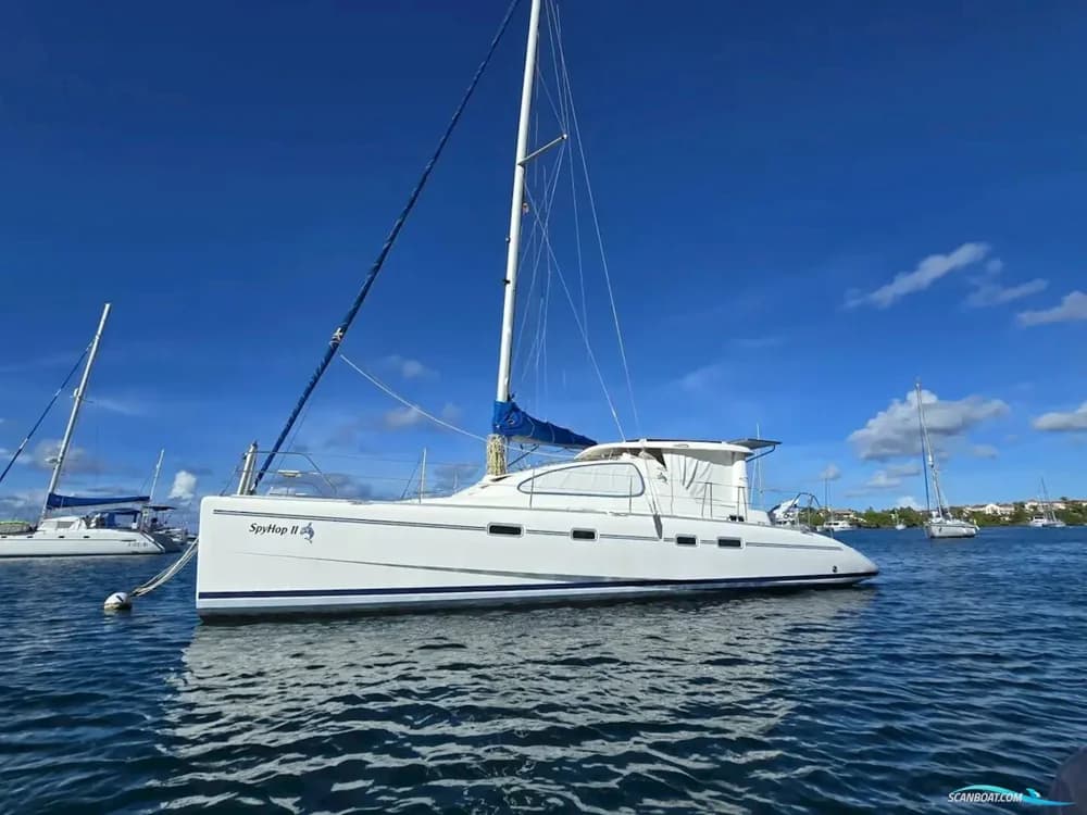 Leopard 43