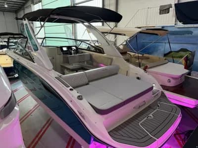 Sea Ray 250 SDX 3