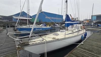 Sirena 38 2