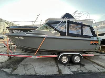 Sea Star 3
