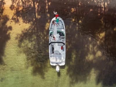 Sea Ray SDX250E OUTBOARD & Trailer (NE 3