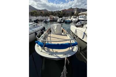 Nuovo arrivo 2