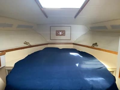 Bertram 37 Convertible 5