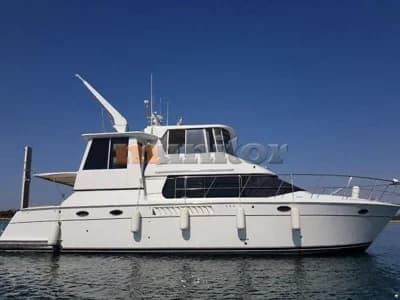 Carver 504 Fly 4