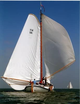 Lemsteraak Visotter - Roefuitvoering 3
