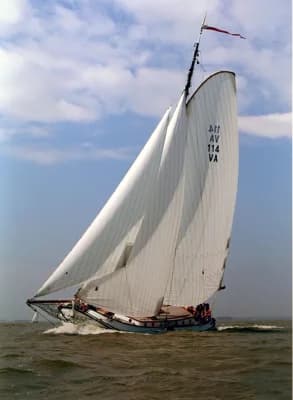 Lemsteraak Visotter - Roefuitvoering 4