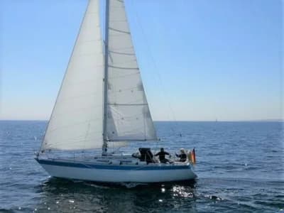 Wauquiez Gladiateur 33 2
