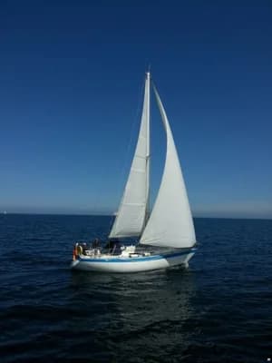 Wauquiez Gladiateur 33 4