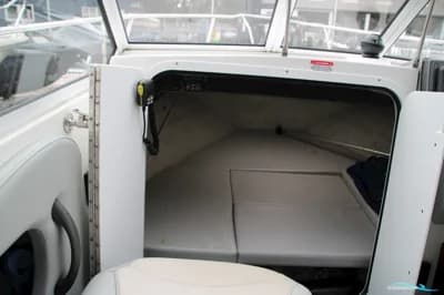 Campion 542 Explorer 4
