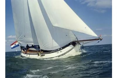 Lemsteraak Gouden Leeuw - Roefaak Hoek Design 3