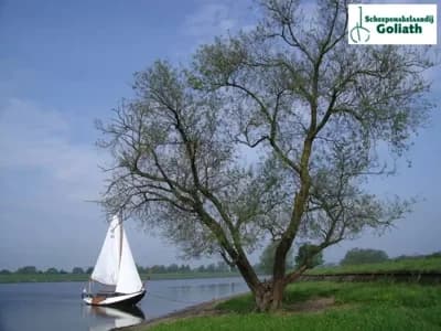 1938 Hoogars 8.70 Boat for Sale in Woudrichem 4