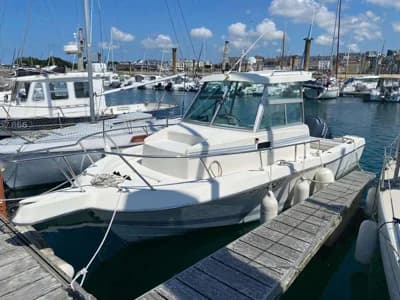 White Shark 226 Timonier 2