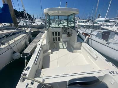 White Shark 226 Timonier 3