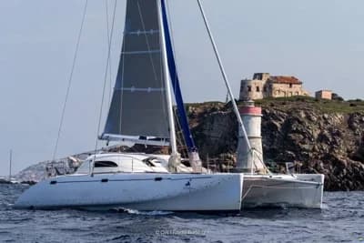 Latini Cat 43 2
