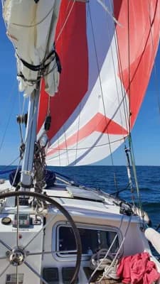 Nauticat 331 3