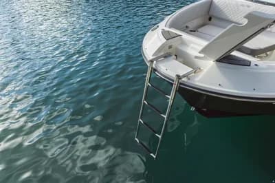 Sea Ray SDX 250 Europe 3