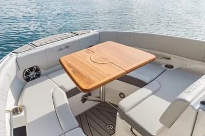 Sea Ray SDX 250 OB Europe 3
