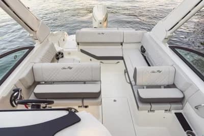 Sea Ray SDX 250 OB Europe 5
