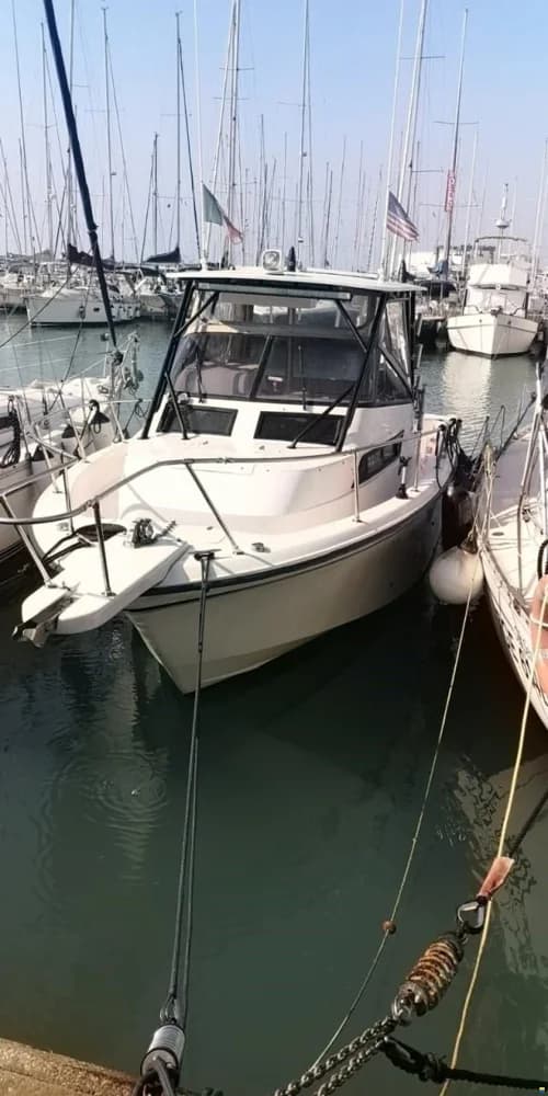 Grady White Boats 300 Marlin WA