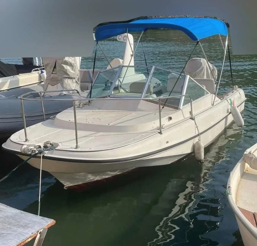 Boston Whaler Revenge 19