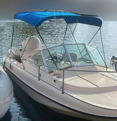 Boston Whaler Revenge 19 2