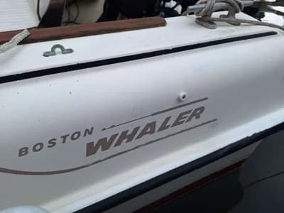 Boston Whaler Revenge 19 3