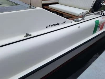 Boston Whaler Revenge 19 4