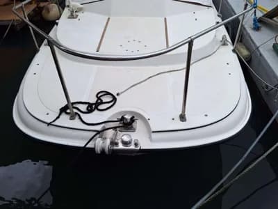 Boston Whaler Revenge 19 5