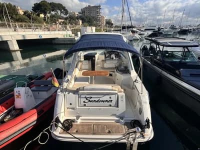 Sea Ray Sundancer 310 2