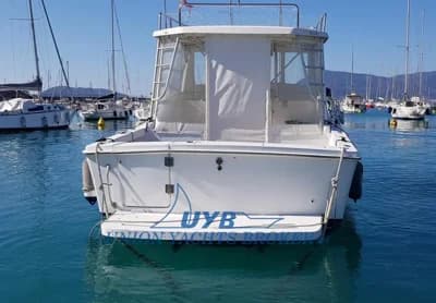 Luhrs T-290 WA 2