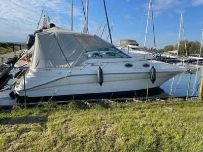 Sea Ray Sundancer 290/290DA 2