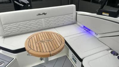 Sea Ray SPX 210 Outboard 3