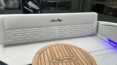 Sea Ray SPX 210 Outboard 4
