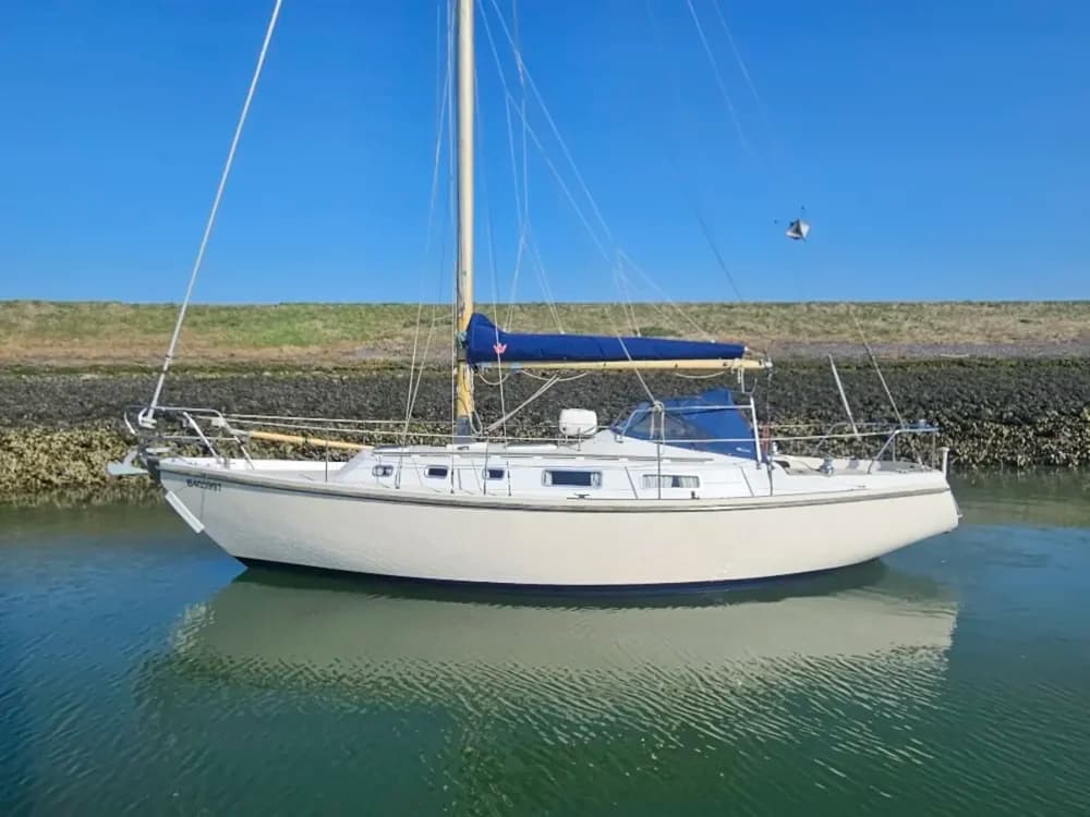 1971 Contest 33 Boat for Sale in in haven Colijnsplaat box E14