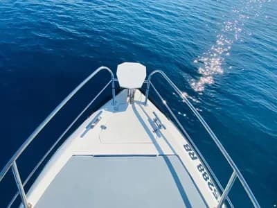 Trimarchi Dylet 85 + Honda BF250 5