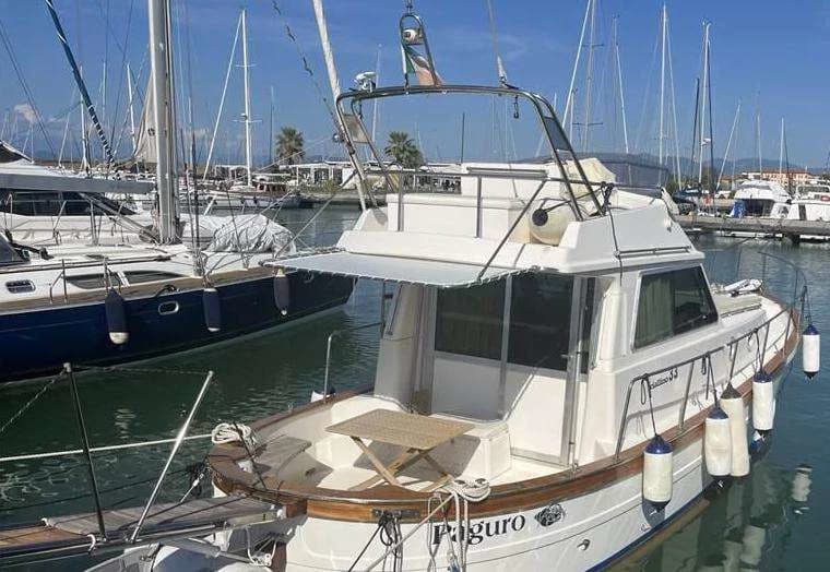 Sciallino 33 Fly