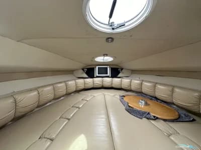 Larson 290 Cabrio 5