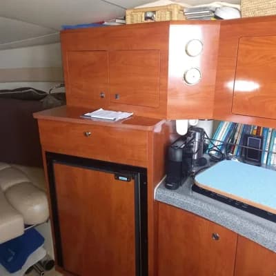 Larson Boats LARSON 310 CABRIO 3