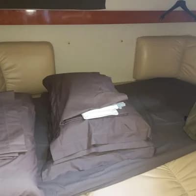 Larson Boats LARSON 310 CABRIO 5