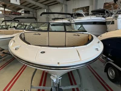 Sea Ray 190 SPX 2