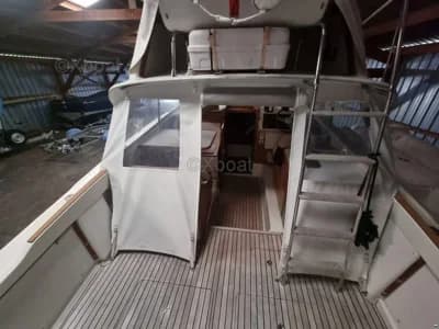 Bertram RIVA BERTRAM 25 SPORT FISHERMAN 5