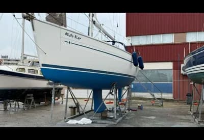 Bavaria 36 Cruiser 3