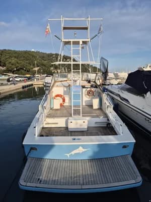Striker 29 2
