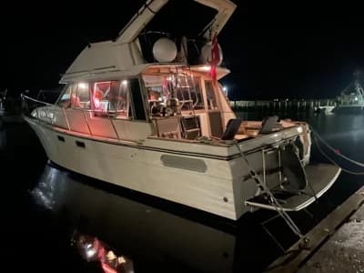 Bayliner 3288 Fly 2