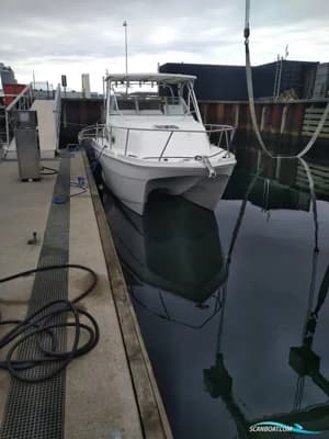 Prosport 2660 Procat 2