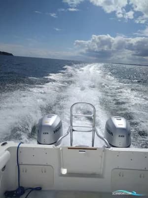 Prosport 2660 Procat 3