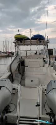 Prosport 2660 Procat 4